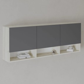 Dulap suspendat Malmo, 3 Usi, Stejar Alb/Antracit, 164 x 27 x 60 cm