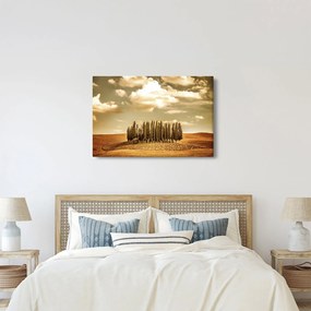Tablou cu luncă (90x60 cm)