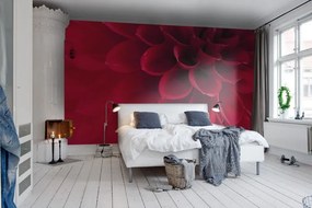 Fototapet, Dahlia, Rebel Walls