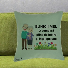 Cadou pentru Bunici - Perna Personalizata Bunicii Mei Comoara Cuplu Senior cu Flori Colorat, 40x40 cm, Verde, Husa Detasabila, Perna Inclusa, BEKZ®