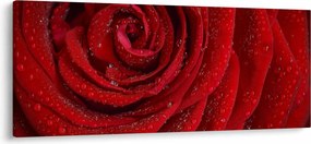 Tablou - detaliu de trandafir (120x50 cm)