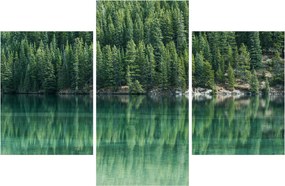 Tablou - Coniferi lângă lac (90x60 cm)