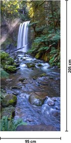 Fototapet pentru ușă - Pădurile tropicale ploioase din Australia (95x205cm)