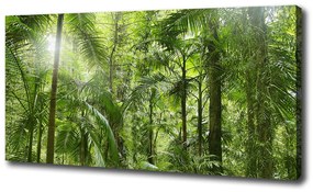 Imprimare tablou canvas Padure tropicala