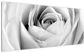 Tablou - Detailu de floare de trandafir (120x50 cm)