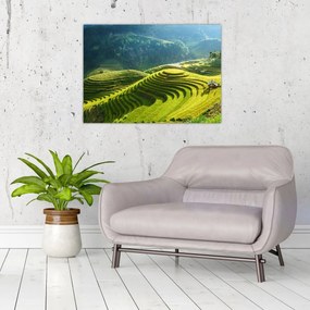Tablou pe sticlă - Concert Terase de orez (70x50 cm)