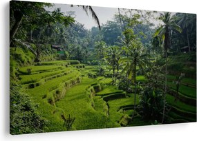 Tablou cu terasele cu orez Tegalalang, Bali (90x60 cm)