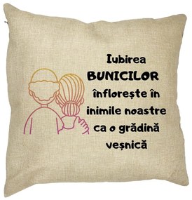 Perna Decorativa pentru Bunici 10, 40x40 cm, Husa Detasabila, Burduf