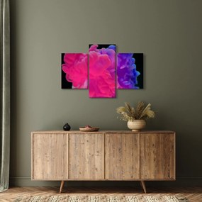 Tablou cu fum colorat (90x60 cm)