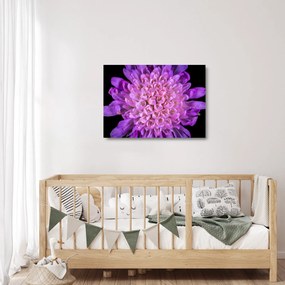 Tablou pe sticlă detailat cu floare (70x50 cm)