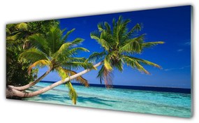 Tablouri acrilice Palm Tree Sea Peisaj Verde Albastru Maro
