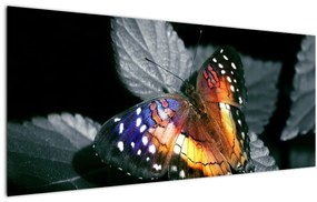 Tablou cu fluture (120x50 cm)