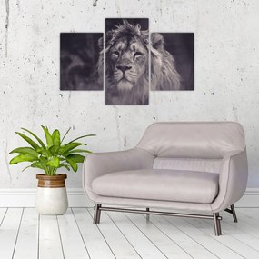 Tablou cu leu (90x60 cm)