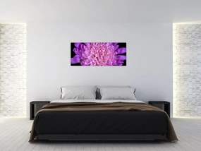 Tablou detailat cu floare (120x50 cm)