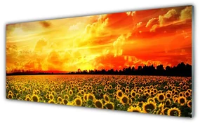 Tablouri acrilice Meadow Sunflowers Floral Verde Galben Maro