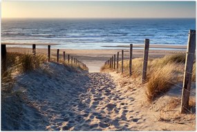 Tablou - Drum spre plaja din Marea Nordului, Țările de Jos (90x60 cm)