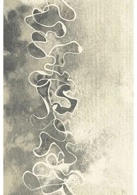 Covor Aszra siwy Selectează mărime: 133 X 180