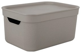 Cutie de depozitare din plastic cu capac Deco - Rotho