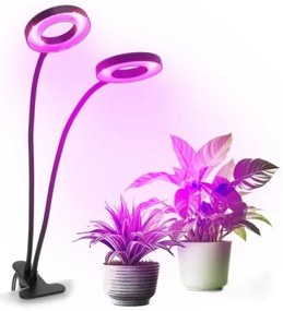 Lampă LED flexibilă dimabilă de masă cu clemă pentru creșterea plantelor VITARO 2xLED/4W/230V negru
