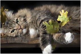 Tablou - Pisica mincinoasă (90x60 cm)