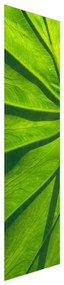 Fotojaluzele R014829R42150 (42x150 cm)