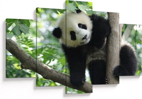 Tablou - Panda in copac (150x105 cm)