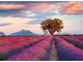 PUZZLE CAMP DE LAVANDA, 1000 PIESE - RAVENSBURGER (RVSPA16724)