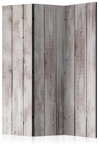 Paravan - Exquisite Wood [Room Dividers]