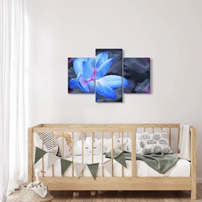 Tablou florilor în detailu (90x60 cm)