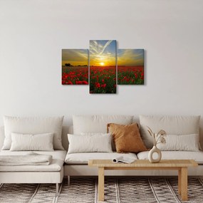 Tablou cu câmp cu maci (90x60 cm)