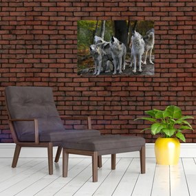 Tablou - Lupii de pe stâncă (70x50 cm)