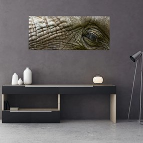 Tablou - Prim-planul ochiului de elefant vechi (120x50 cm)