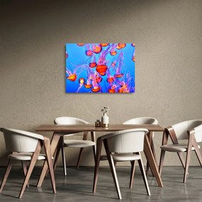 Tablou pe sticlă cu meduse în mare (70x50 cm)