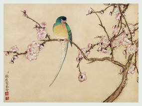 Reproducere Bird on a Blossom Branch, Zhang Ruoai