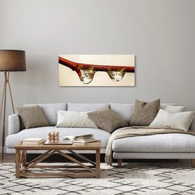 Tablou cu picături de apă pe creangă (120x50 cm)