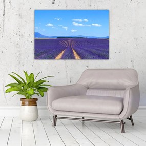 Tablou - Câmp de lavandă (90x60 cm)