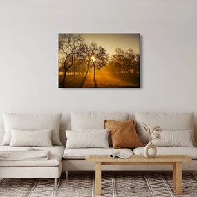 Tablou cu răsăsrit de soare (90x60 cm)