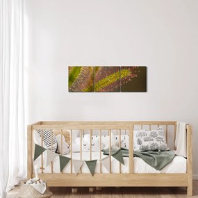 Tablou cu plantă (cu ceas) (90x30 cm)