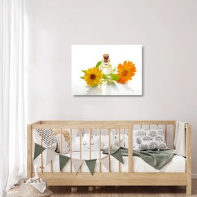 Tablou pe sticlă cu ulei de flori (70x50 cm)