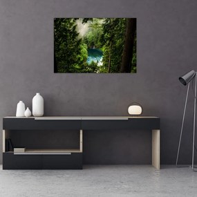 Tablou - Fereastra între copaci (90x60 cm)