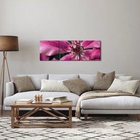 Tablou cu floarea roz de clematis (cu ceas) (90x30 cm)