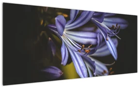 Tablou - Lila (120x50 cm), în 40 de alte dimensiuni noi