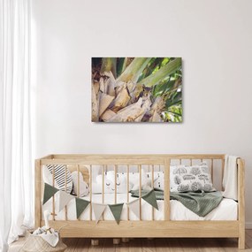 Tablou pe sticlă cu veverița în copaci (70x50 cm)