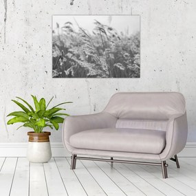 Tablou pe sticlă - Iarba în vânt (70x50 cm)