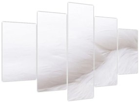 Tablou - Detalii pene (150x105 cm)