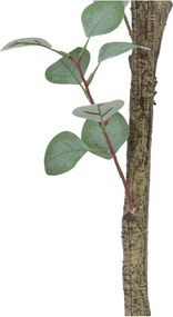 Eucalipt artificial (înălțime 180 cm) Eucalyptus – Ixia