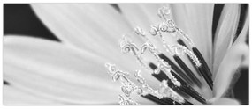 Tablou - Floare albă și neagră (120x50 cm)
