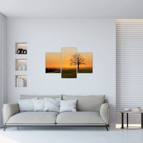 Tablou cu apus de soare pe o luncă (90x60 cm)