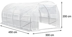 Folie de seră 200x300x450 cm fără ramă transparentă