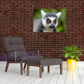 Tablou pe sticlă cu lemur (70x50 cm)